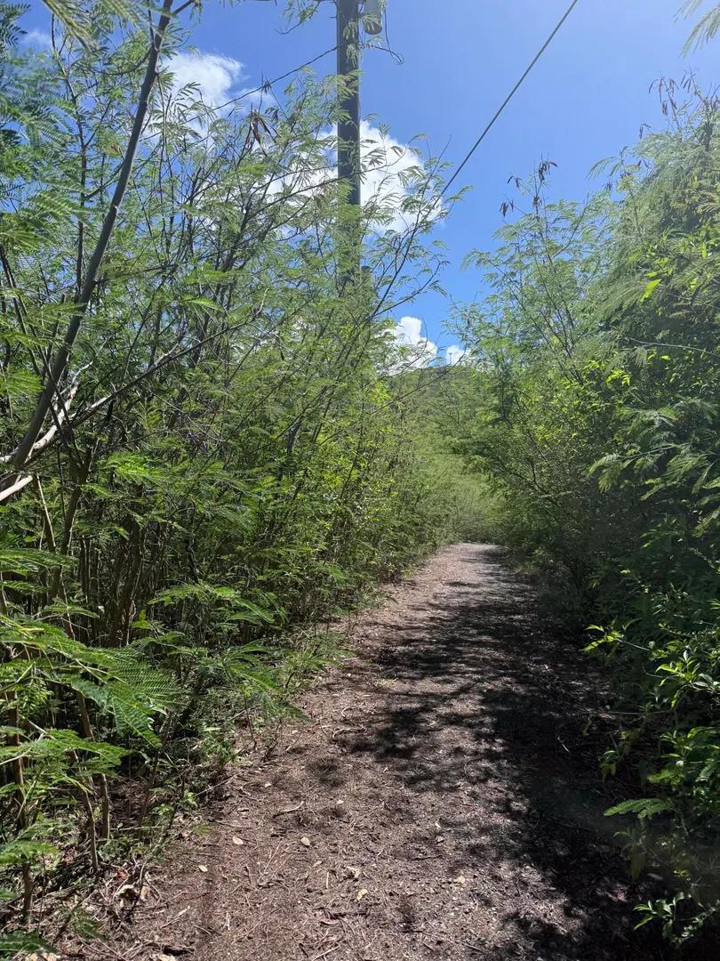 0.79 Acre Homesite in Cotton Valley, St. Croix — photo 5