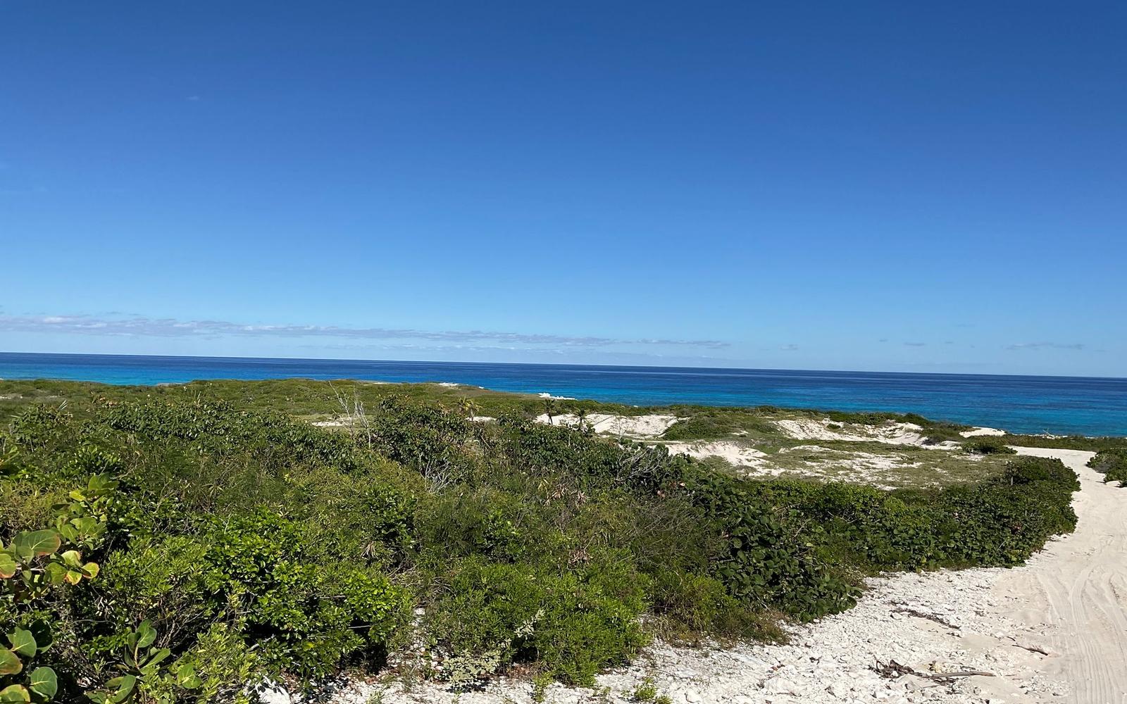 Vacant Land for sale - Lot 1-c, Acreage — photo 5