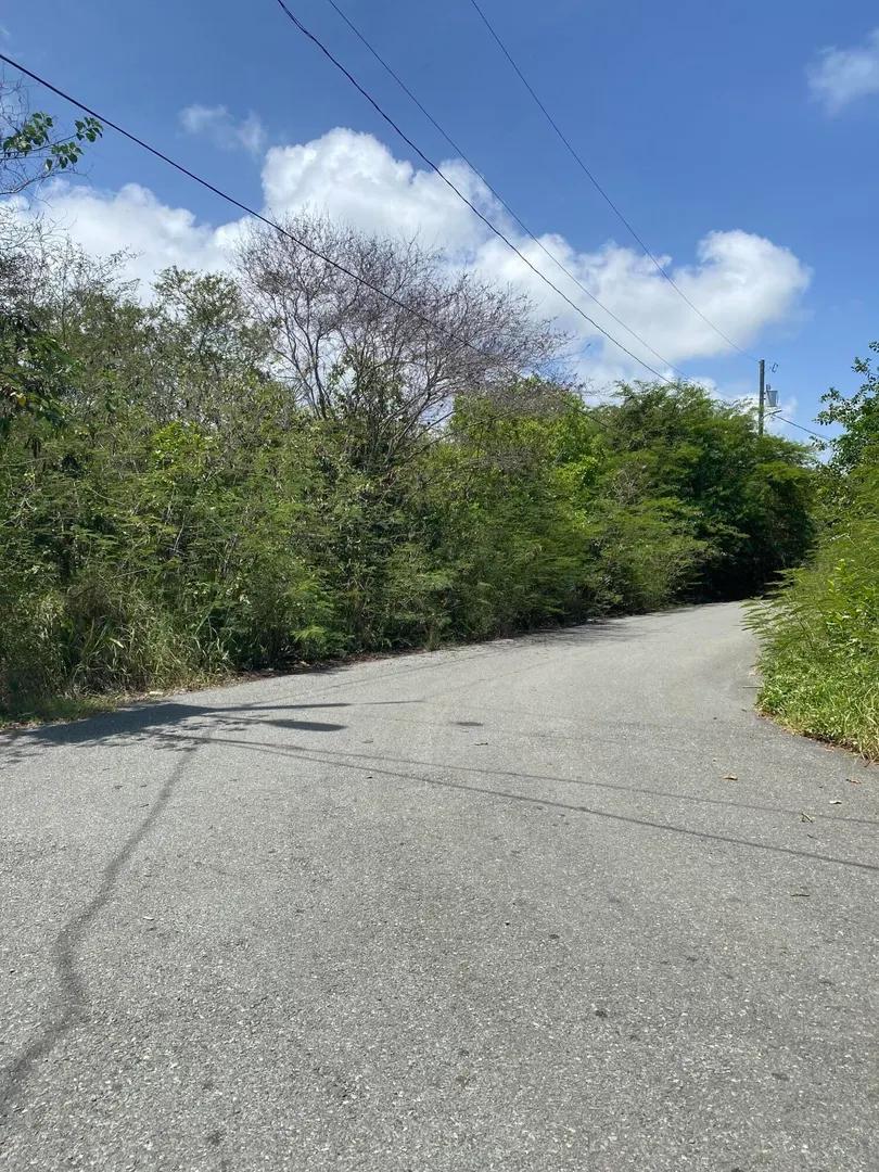 Homesite for sale in Hannah's Rest We, St. Croix — photo 4