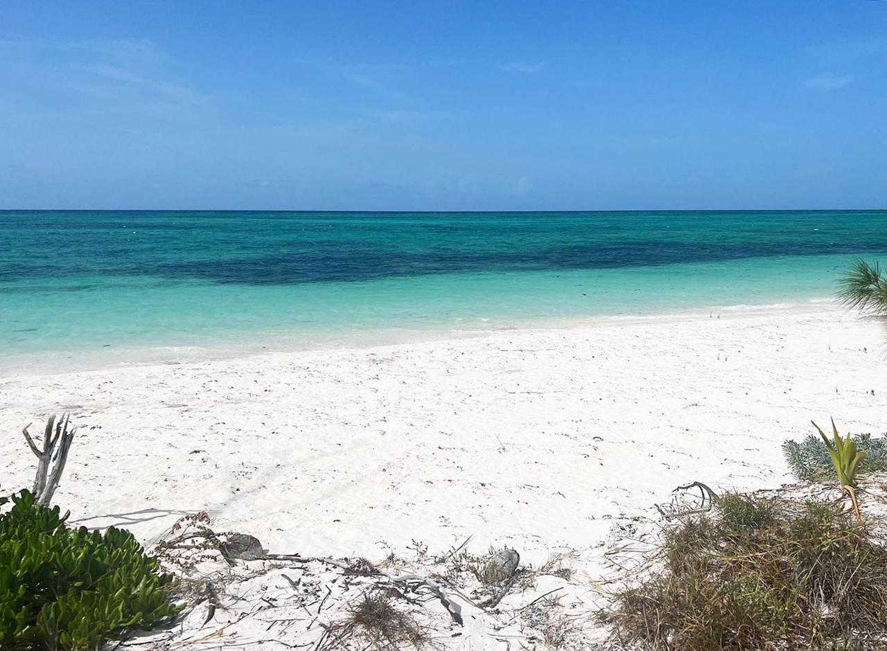 Two Beachfront Lots — photo 1