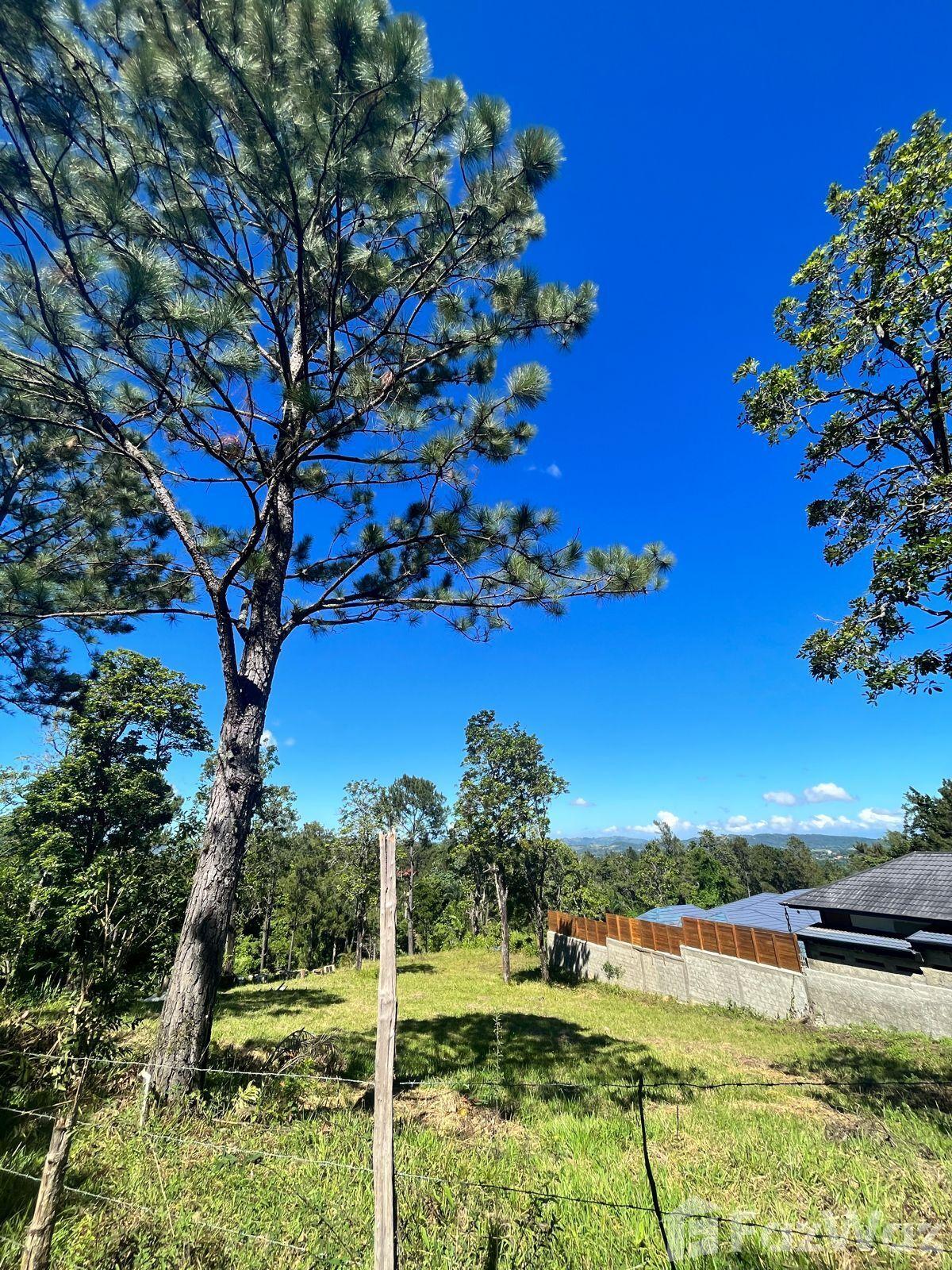 Vega for sale at Exclusive land in Jarabacoa — photo 1