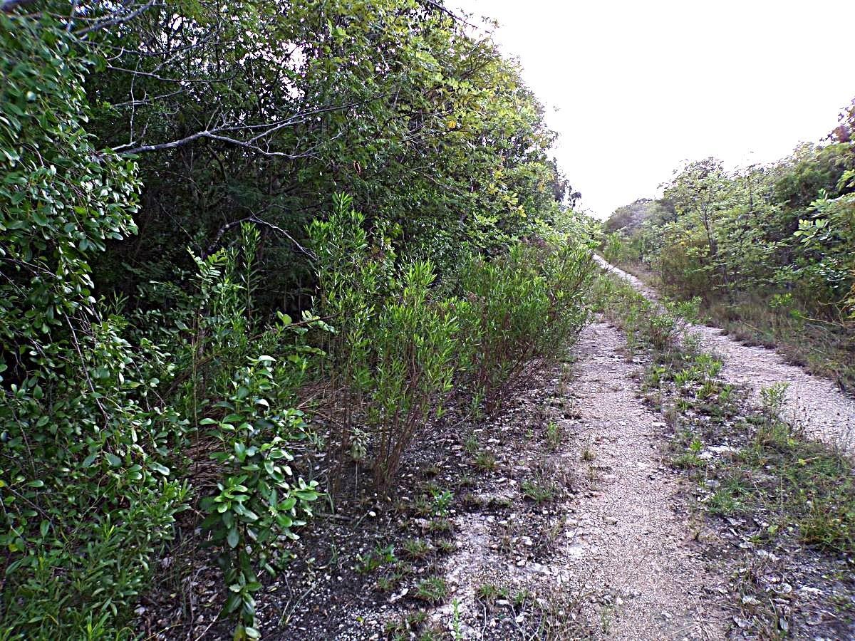 PLOT# 20 O’NEIL’S — photo 3