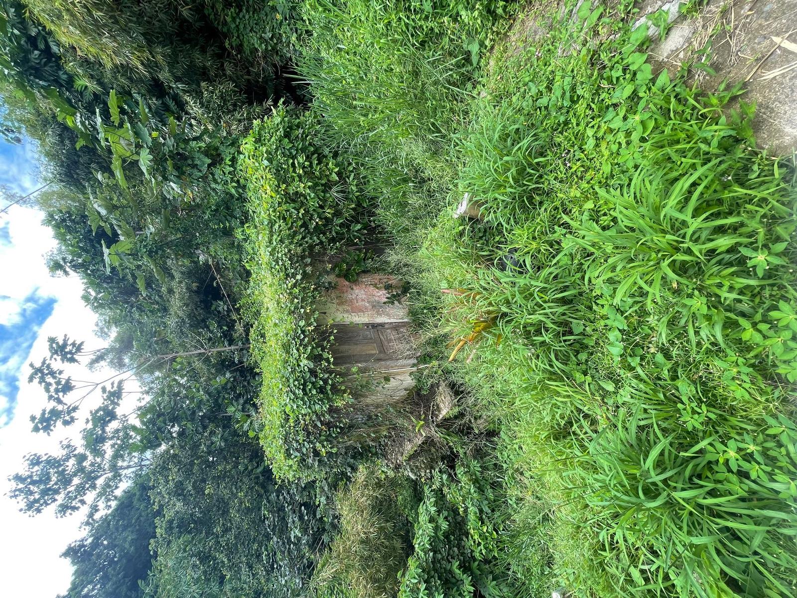 House with 5 acres of land in Bo. Calabazas — photo 5