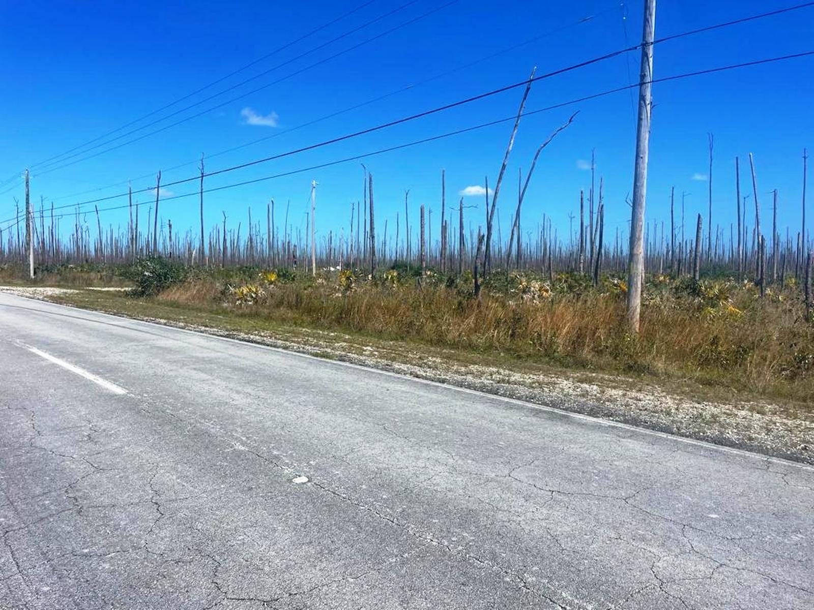 Vacant Land for sale - Lucaya Estates Investment Property — photo 5