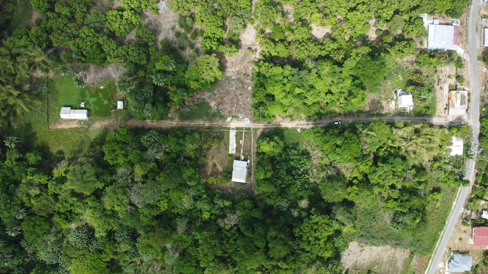 Residential Land For Sale at Manzanilla (Lot 26) — photo 1