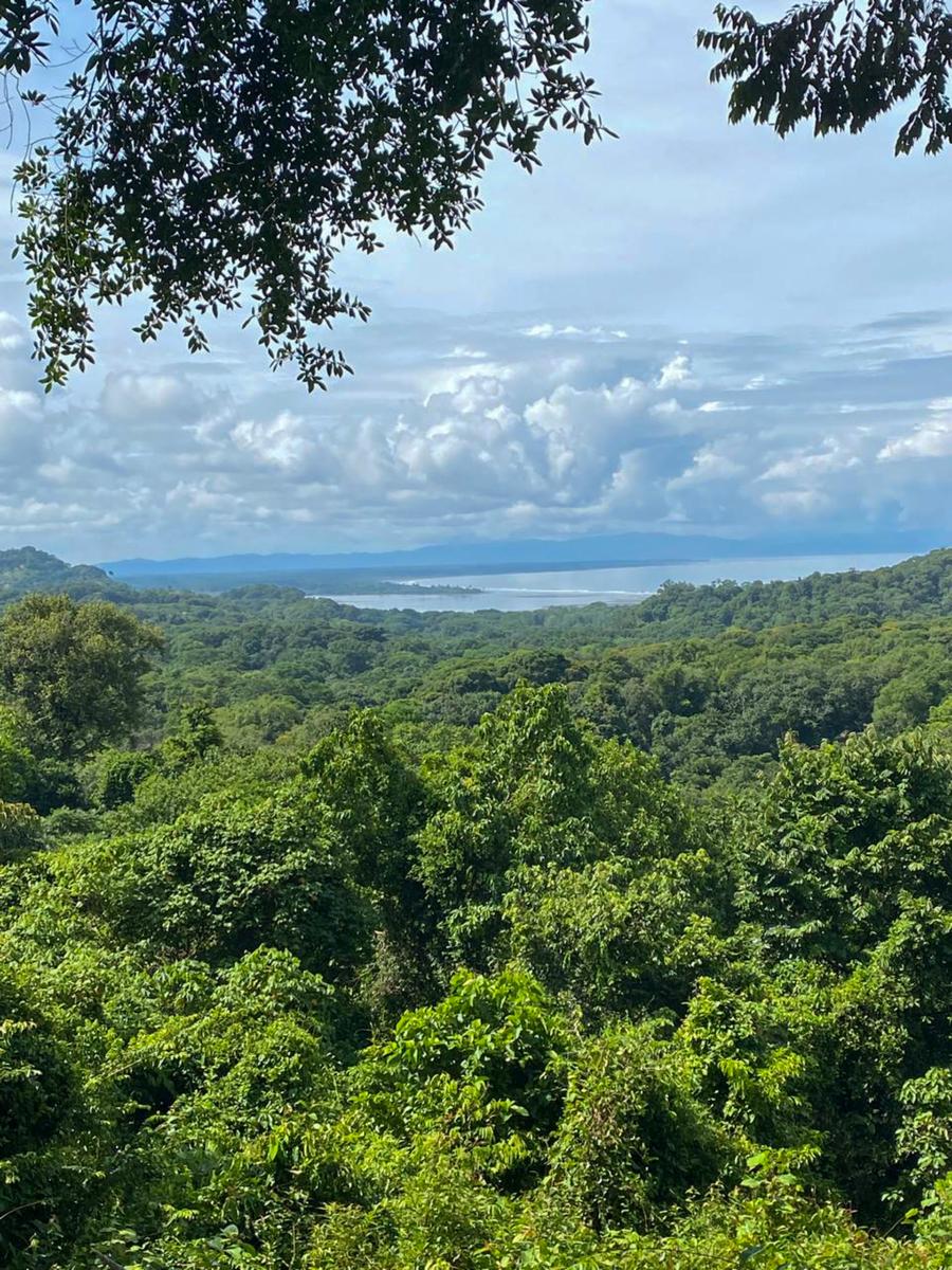 2.42 Hectares of Ocean View Land for Sale in Cinco Ventanas, Ojochal, Costa Rica — photo 1