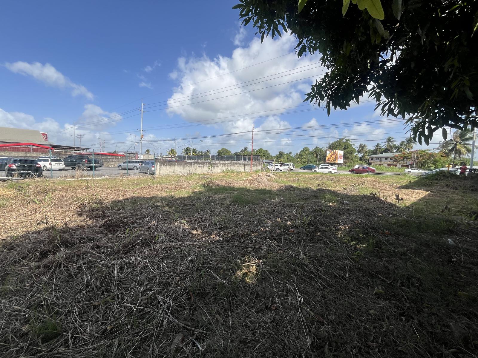Pasea Highway Land — photo 4