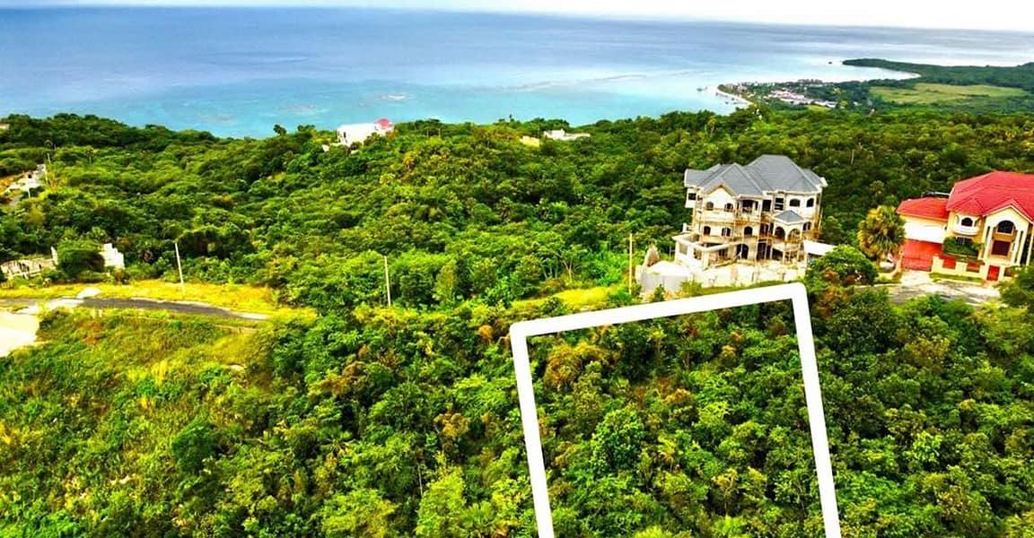 0.51 Acre Lot for Sale in Anchor, Culloden, Westmoreland, Jamaica — photo 3