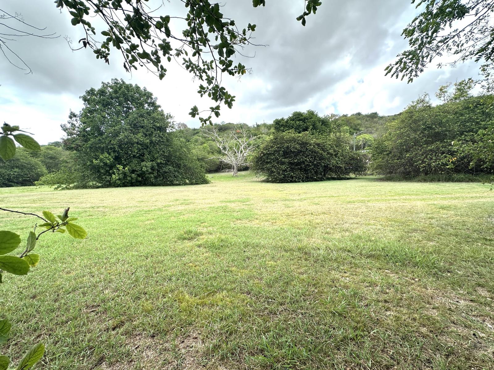 New Listing LotsAcres Marys Fancy QU — photo 1