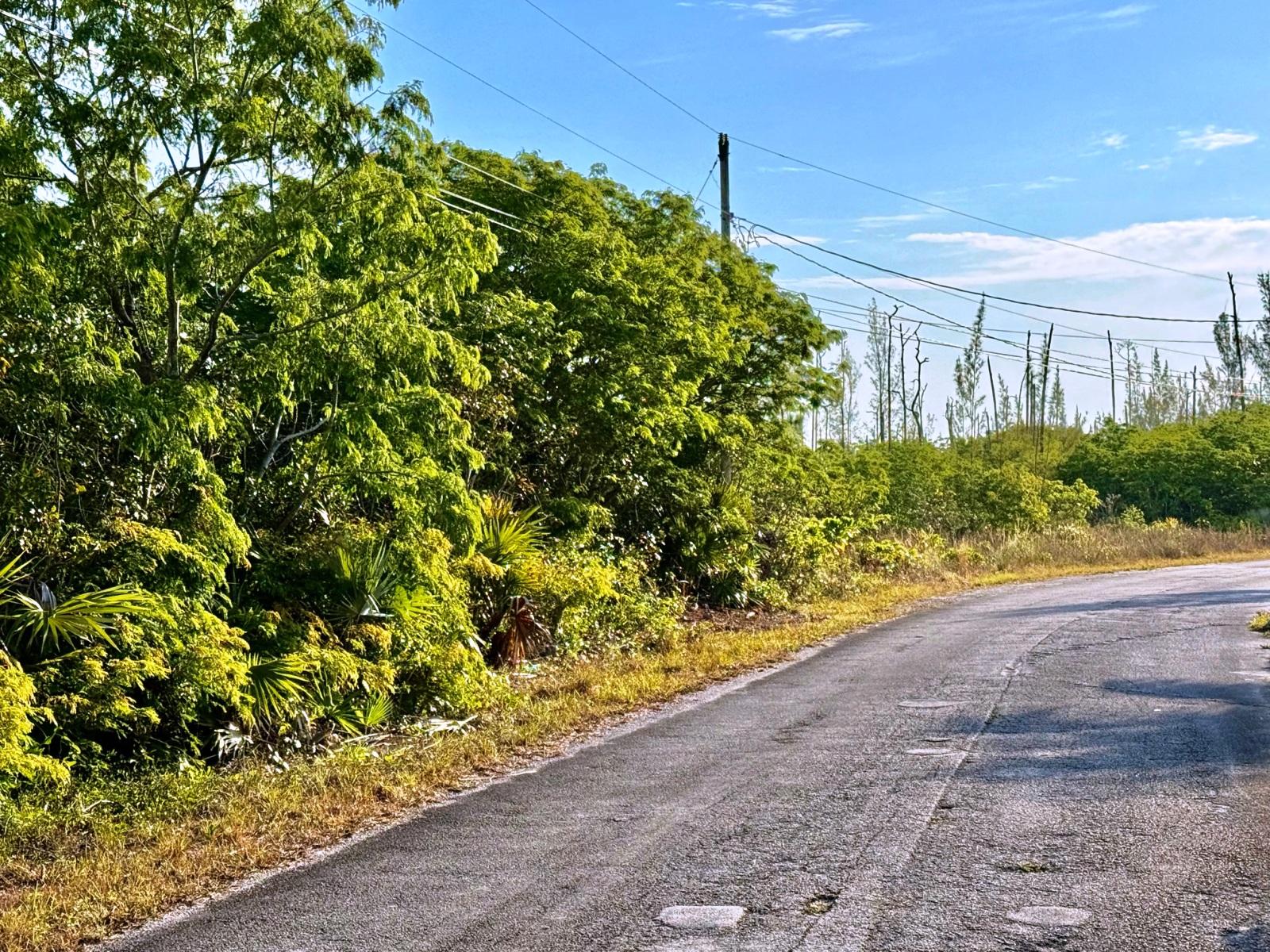 Vacant Land for sale - Duplex Lot Ludford Drive, Lincoln Green — photo 3