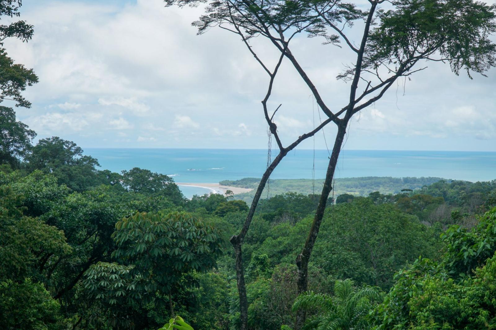 2 Bedroom Home for Sale, Uvita, Costa Ballena, Costa Rica — photo 3