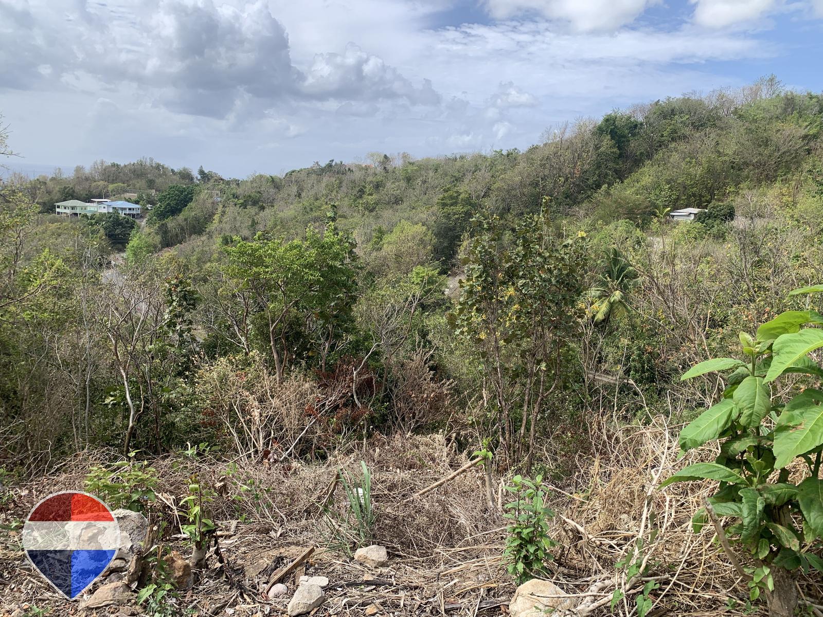 Cliffside Coastal Lots with Stunning Sea Views in Anse La Raye — photo 5