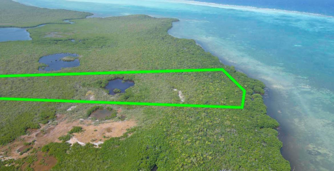 25 acres of Stunning Island Tranquility — Turneffe Island — photo 2
