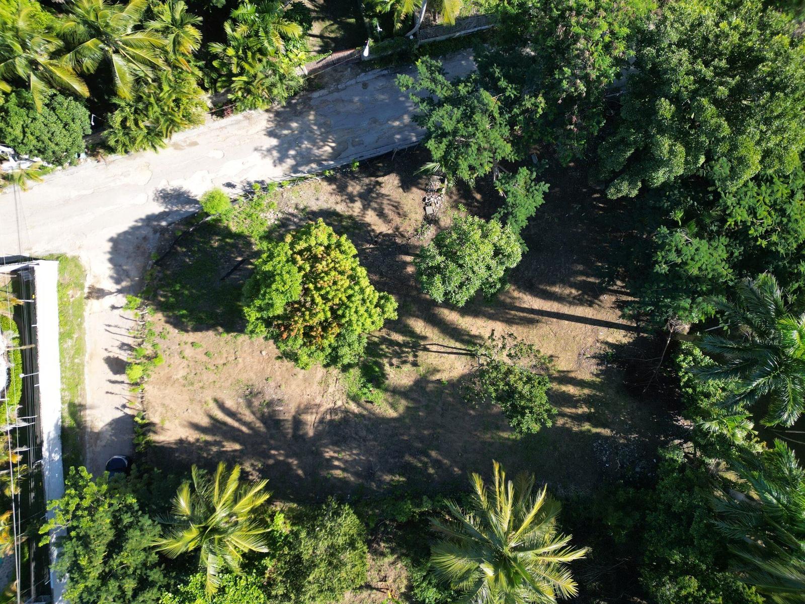 Development Lot for sale in Encuentro, Cabarete Near Surf Beach — photo 2