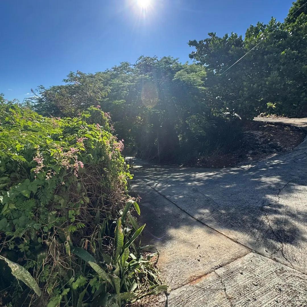 3 & 3a Enighed Cruz, Cruz Bay, St. John, US Virgin Islands — photo 3