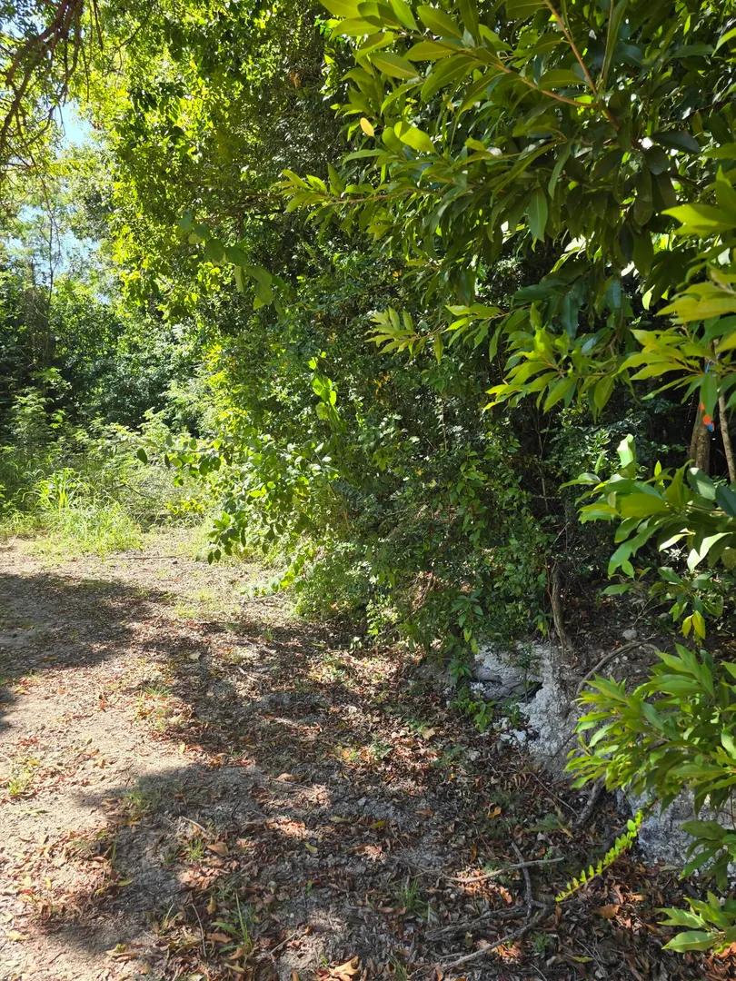 0.49 Acre Lot Bellevue Co — photo 4