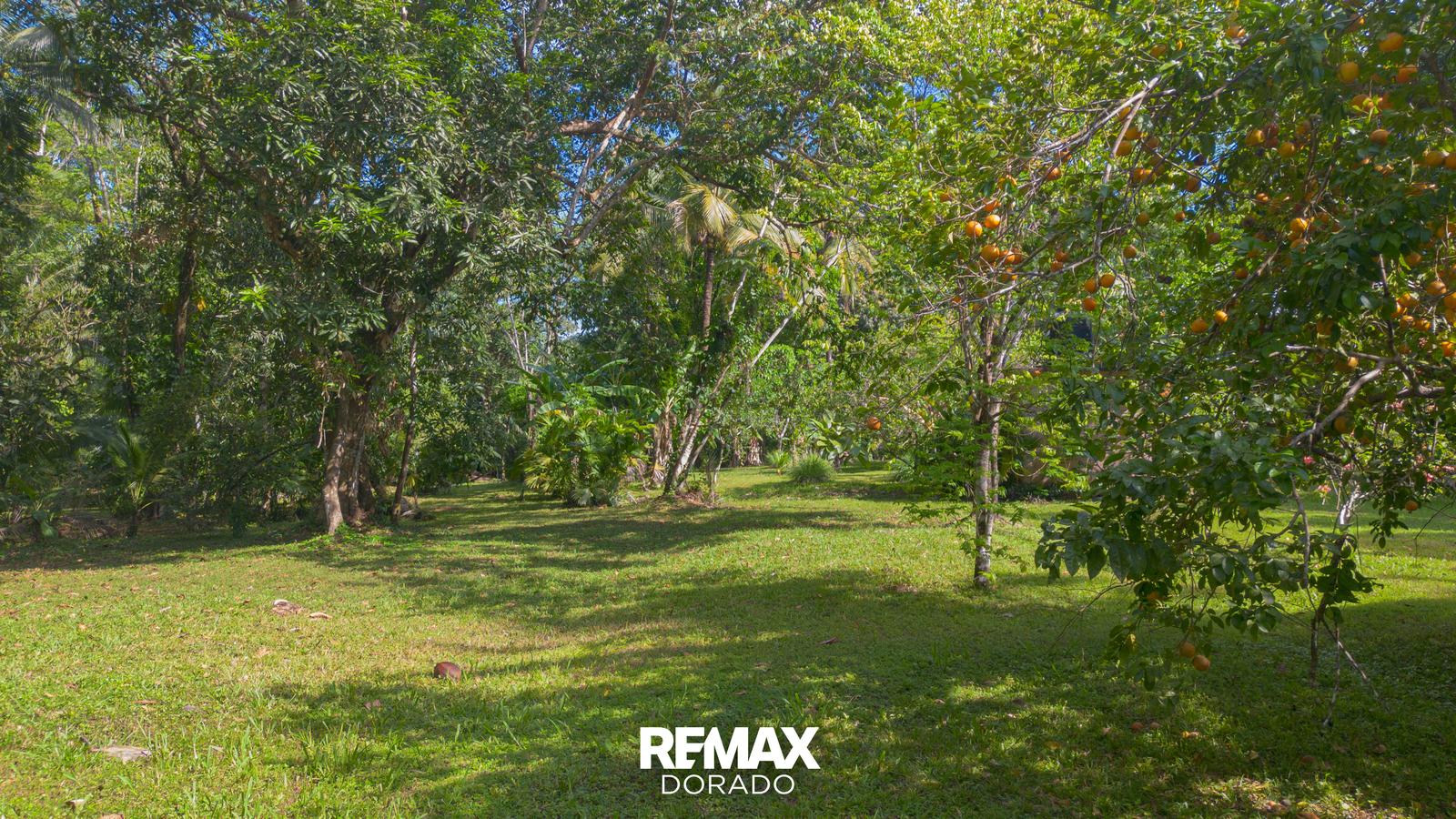 30 Acres of Tropical Farmland – Big Falls Village, Toledo District — photo 2