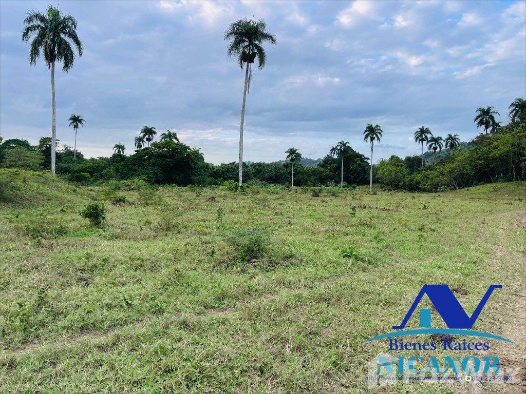 Livestock farm for sale of 5,200 tareas in Imbert — photo 5