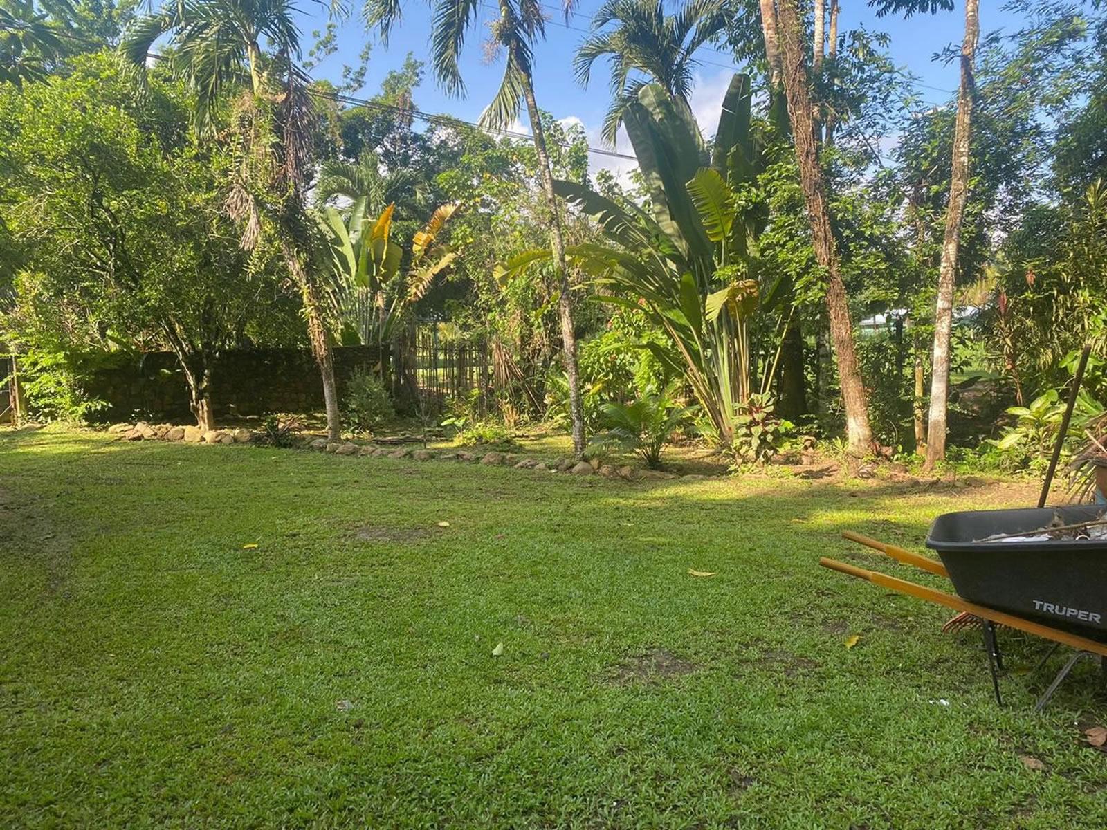 10 Acre Jungle Property with Orchard for Sale — photo 4