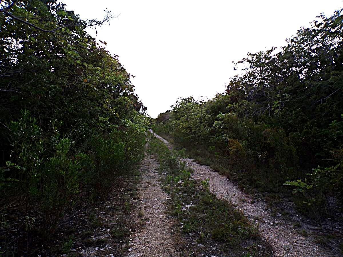 PLOT# 20 O’NEIL’S — photo 2