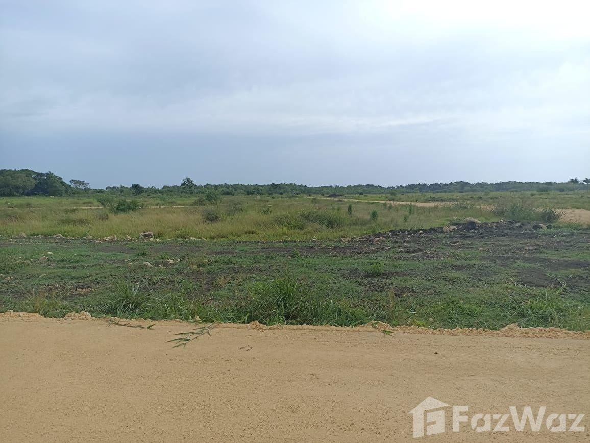 Land for sale in Plantation – Puerto Plata — photo 2
