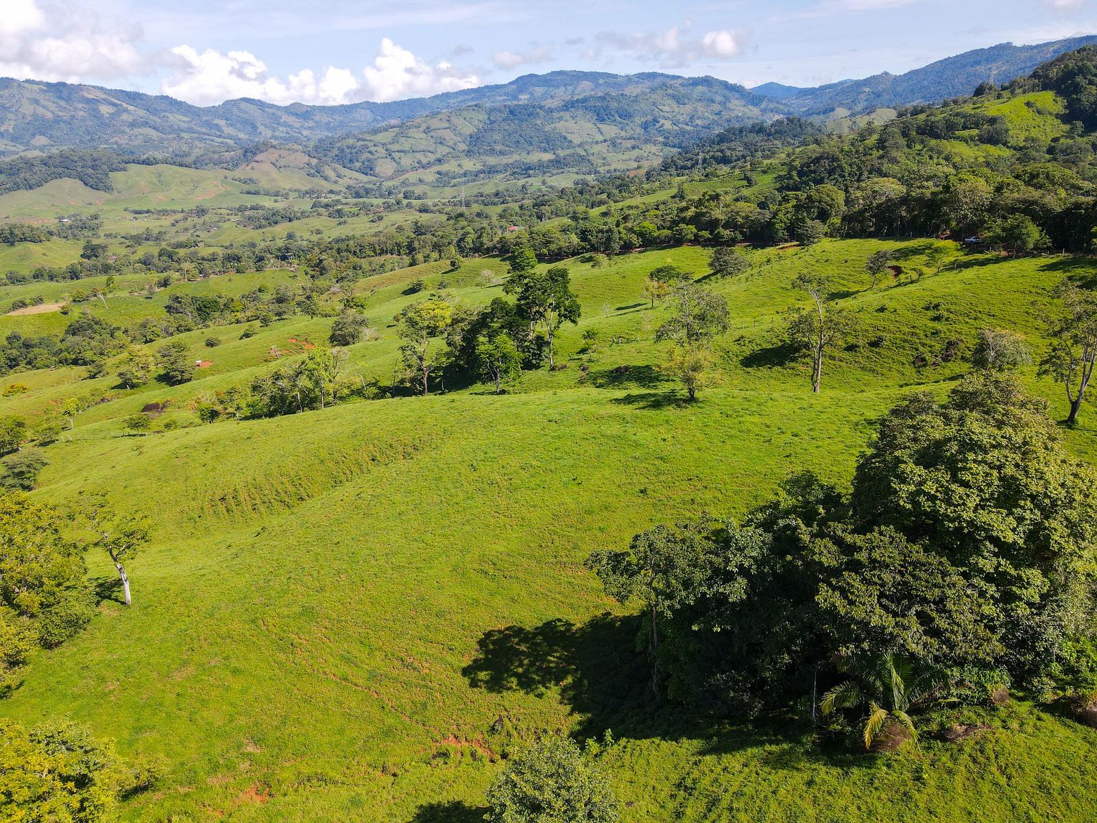 191 Acre Cattle Ranch for Sale — photo 2