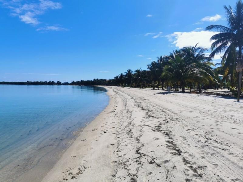 Beachfront Lot in the heart of Placencia Village — photo 3