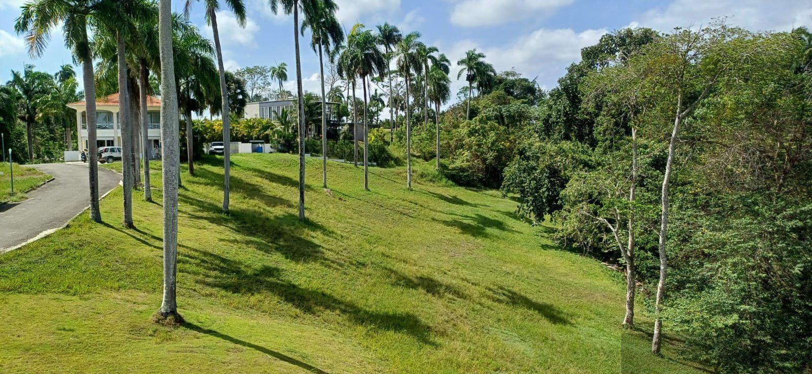 Oceanview Residential Lot in La Mulata, Sosúa — photo 2