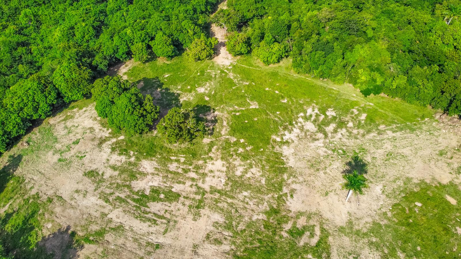 Unique land for sale with Ocean View — photo 1