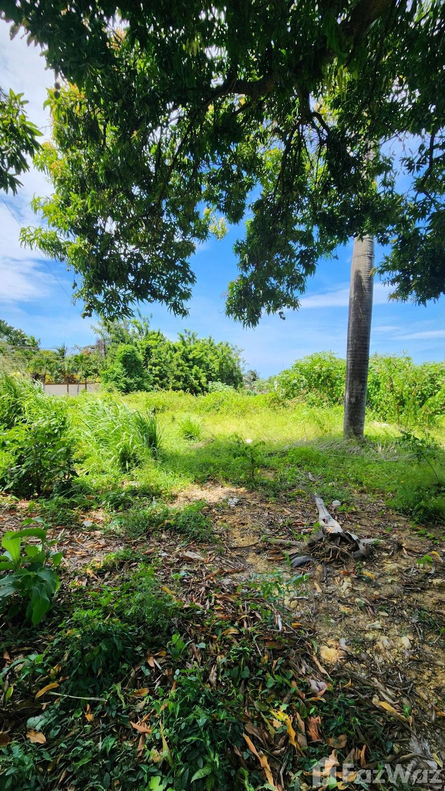 Investment Opportunity in Puerto Plata Land Plot — photo 1