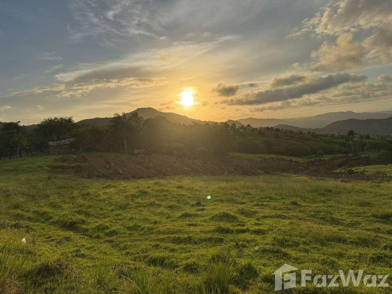 Ecological Paradise Land Plot in San Felipe De Puerto Plata — photo 5