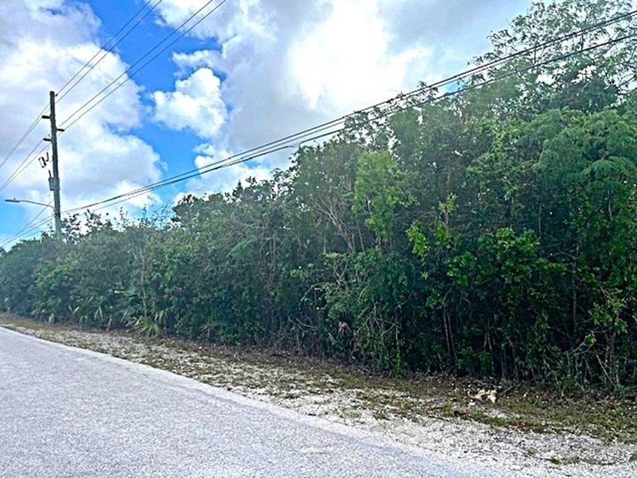 2 Acre Parcel — photo 5
