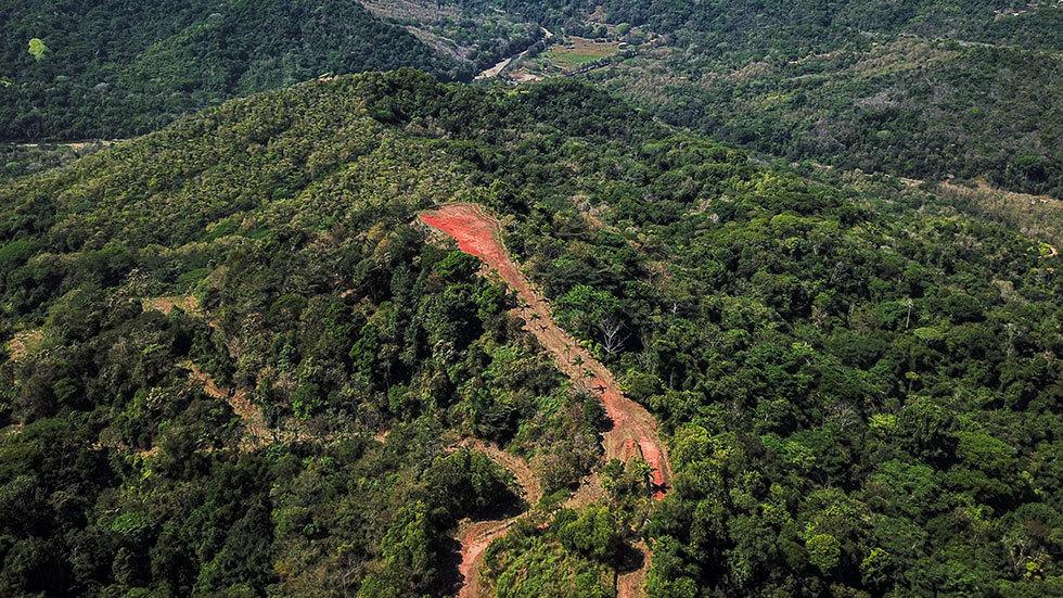 34 Acres of Farm Land for Sale, Platanillo, Puntarenas, Costa Rica — photo 5