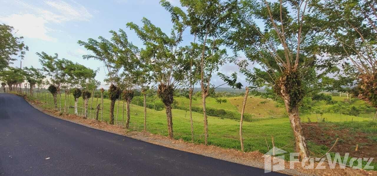 Land for Sale in Cabrera, Dominican Republic — photo 3