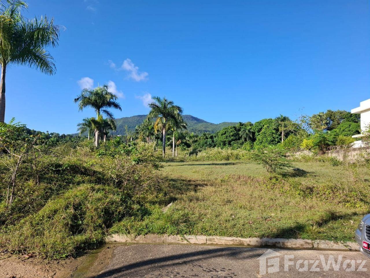 Residential Land Plot in Puerto Plata Residential, Dominican Republic — photo 2