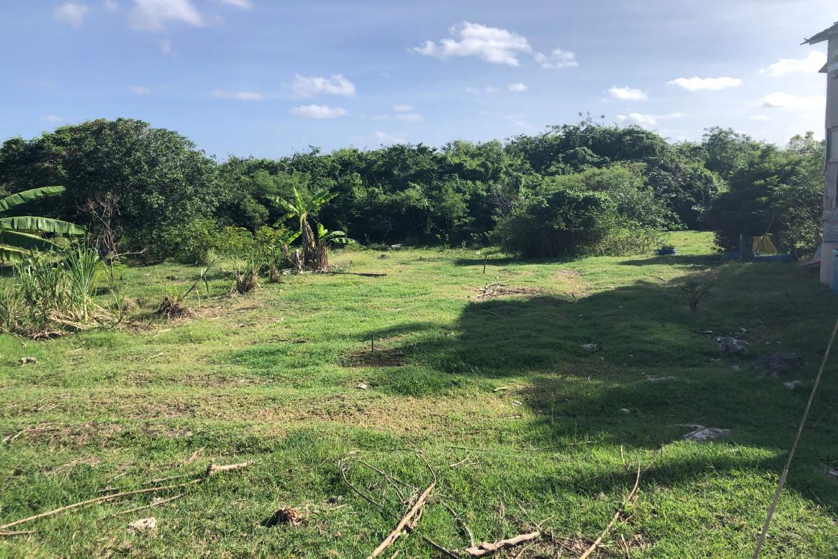 Two residential lots for sale in St Philip, Barbados — photo 2