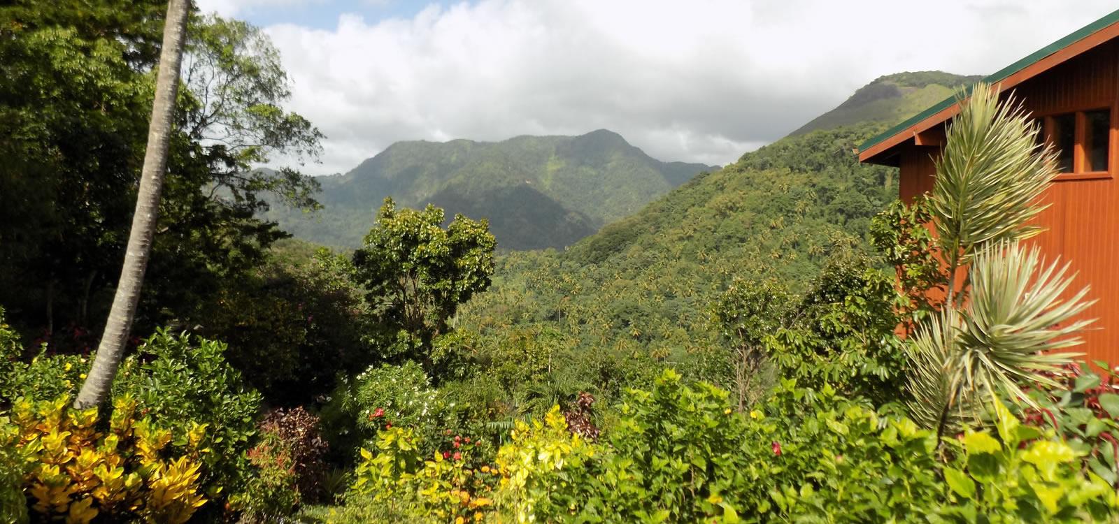 9.87 Acres of Development Land for Sale, Soufriere, St Lucia — photo 4