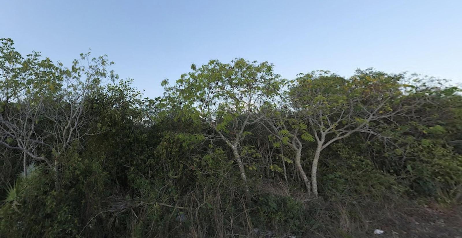 LOT #397 HOLMES ROCK — photo 2
