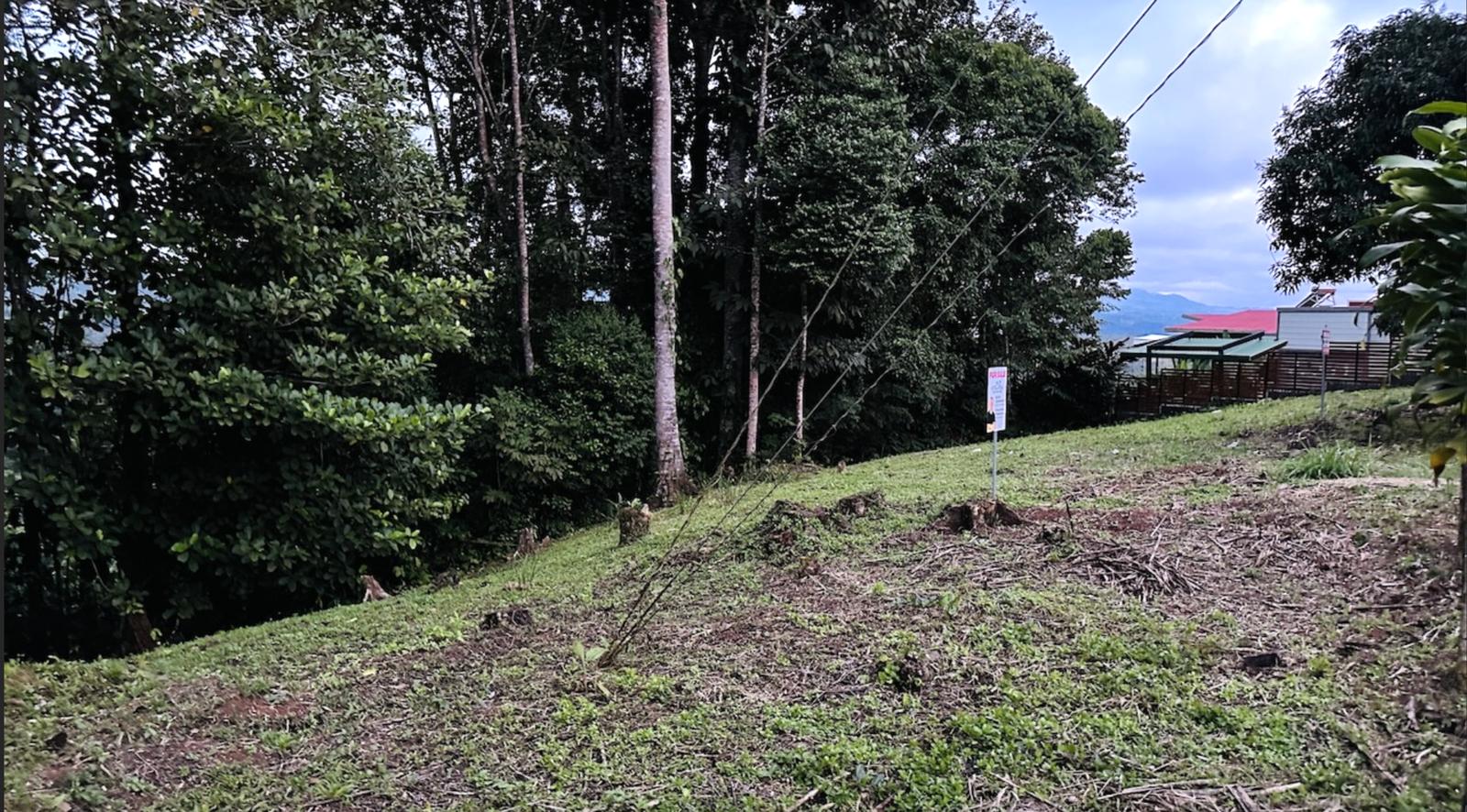 Beautiful lot for sale in San Isidro del General Costa Rica — photo 4