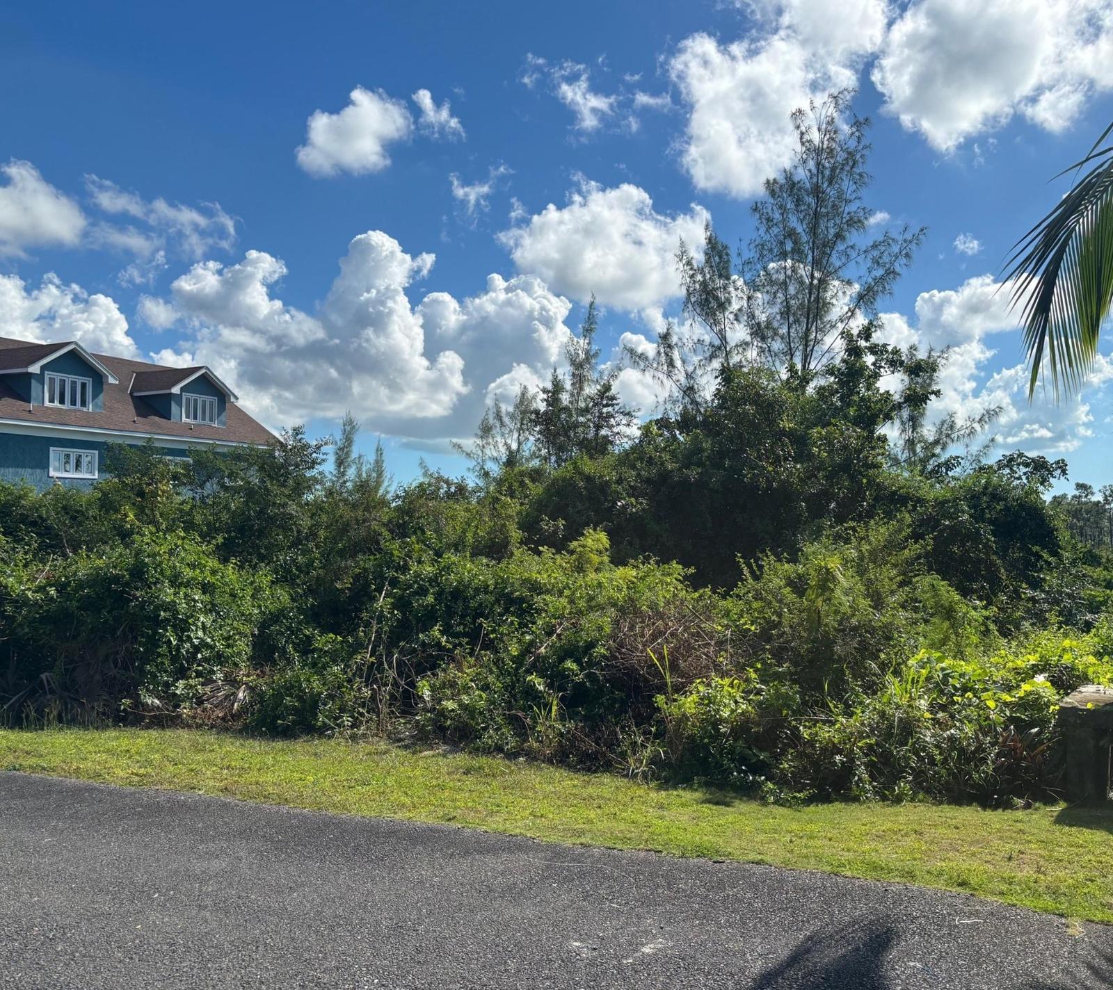 LOT 90 INDIGO — photo 4