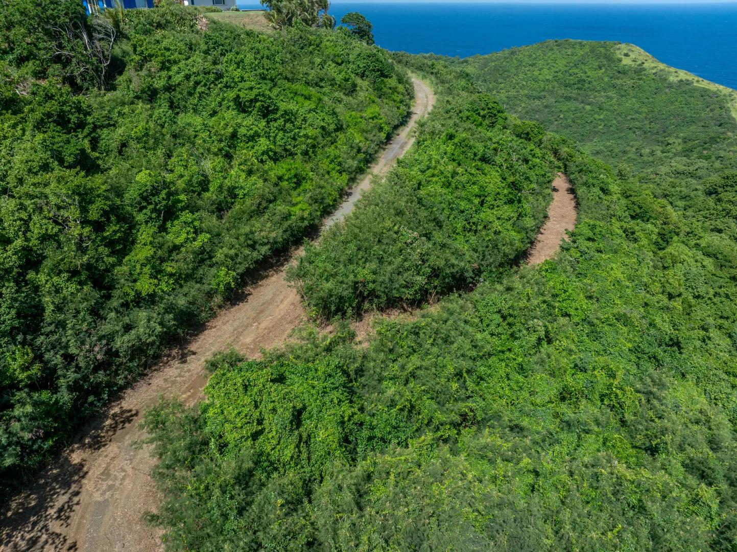 5.79 Acre Lot with Ocean and Hillside Views — photo 4