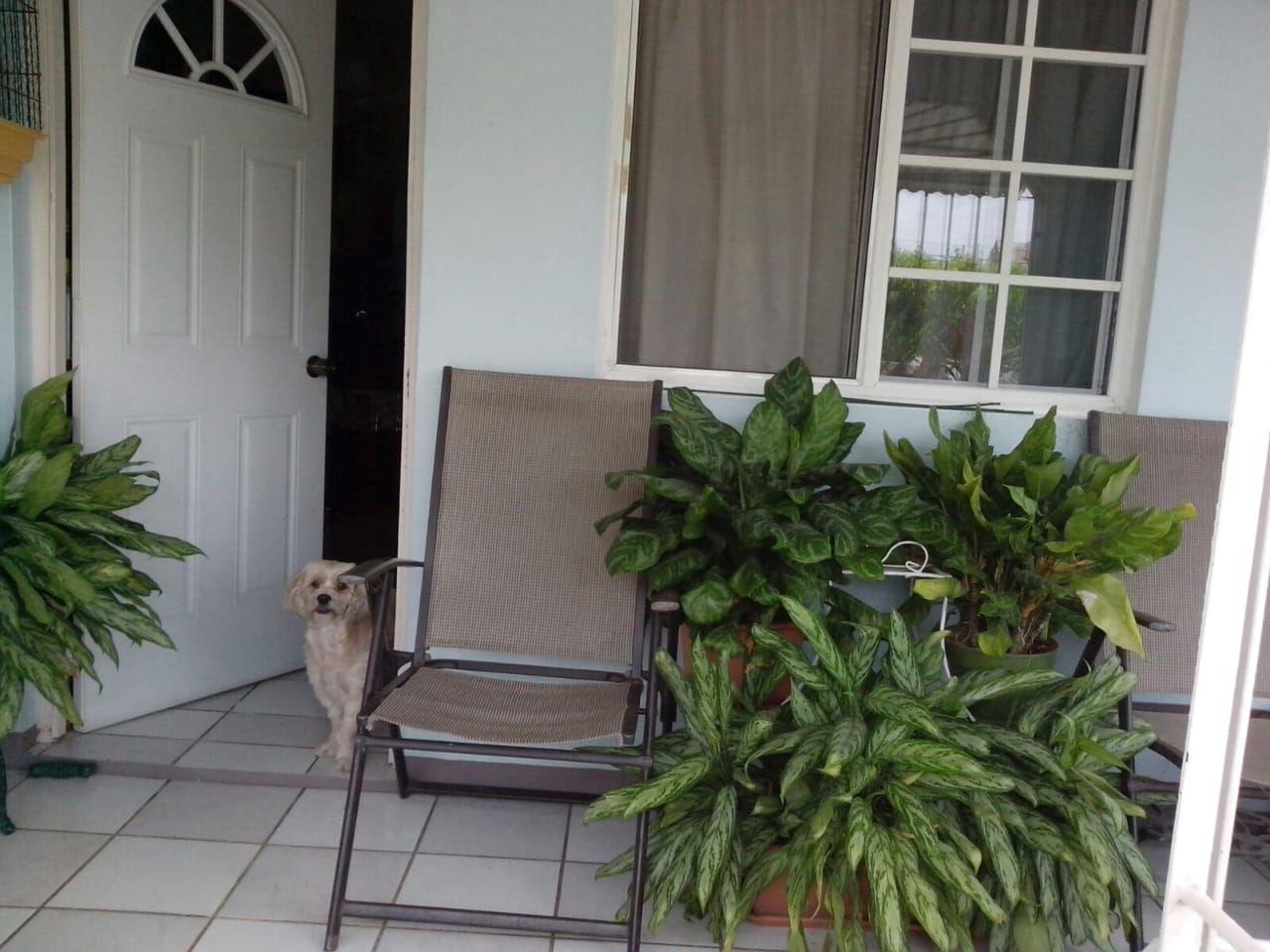 Income-Generating 6-Bedroom, 4-Bath Home in Prime Central Location — photo 3