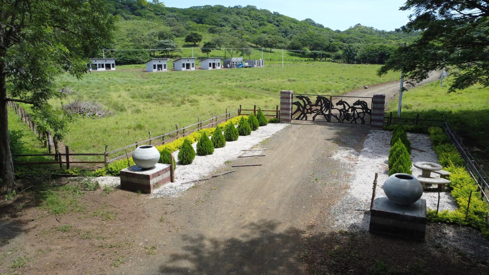25 Hectare Farm for Sale, 27 De Abril, Tamarindo, Guanacaste, Costa Rica — photo 3