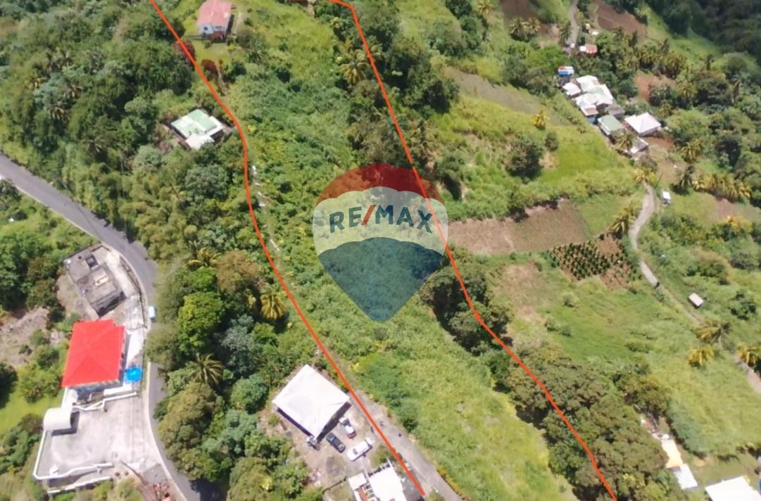 Belmont Estate Acreage — photo 4