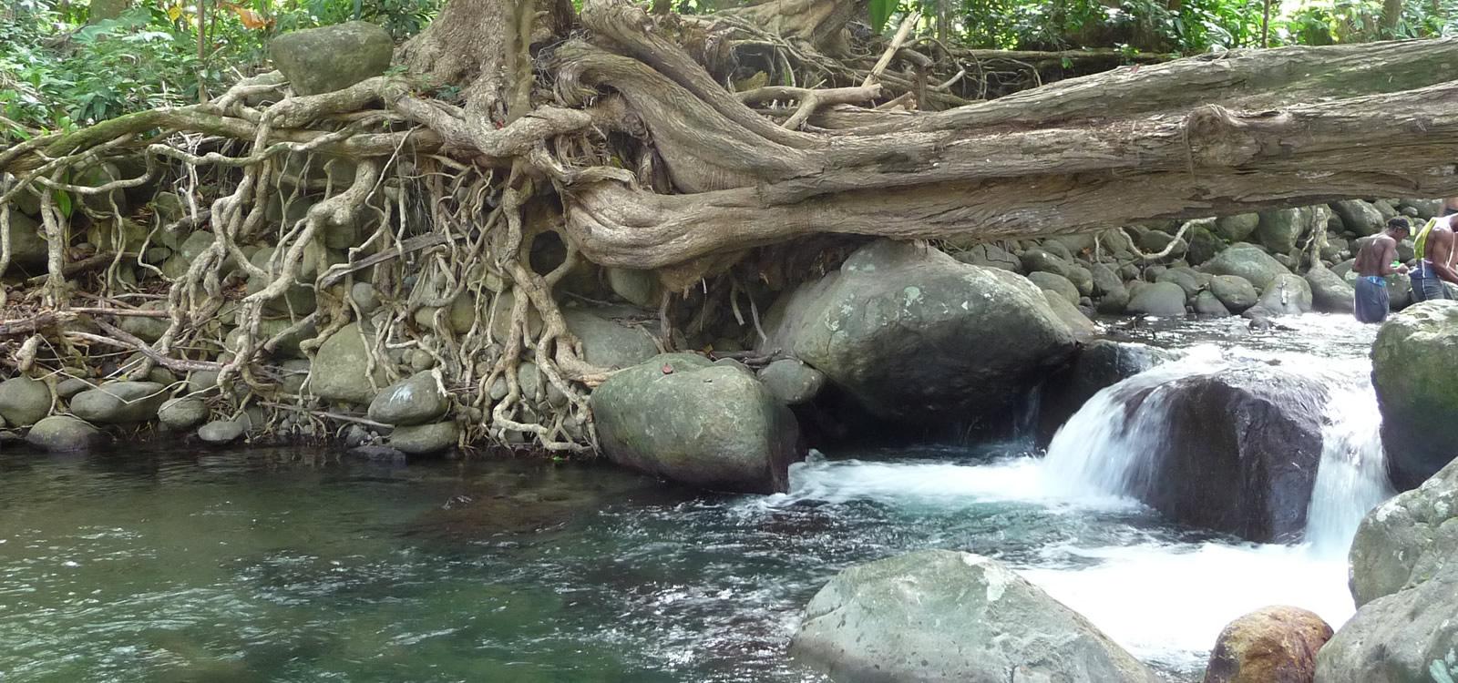 Lots of Land for Sale in Boutique Eco Resort, La Plaine, Dominica — photo 3
