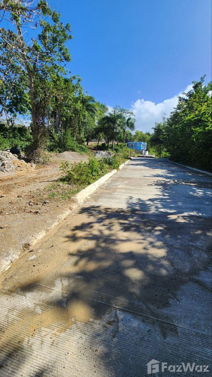 Residential Development Land Plot in San Felipe De Puerto Plata — photo 2