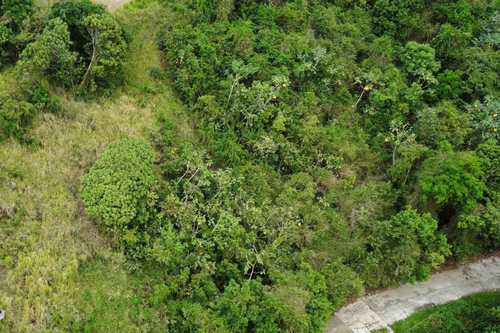 0.48 Acre Lot with Ocean Views in Cane Garden Bay, Tortola — photo 5