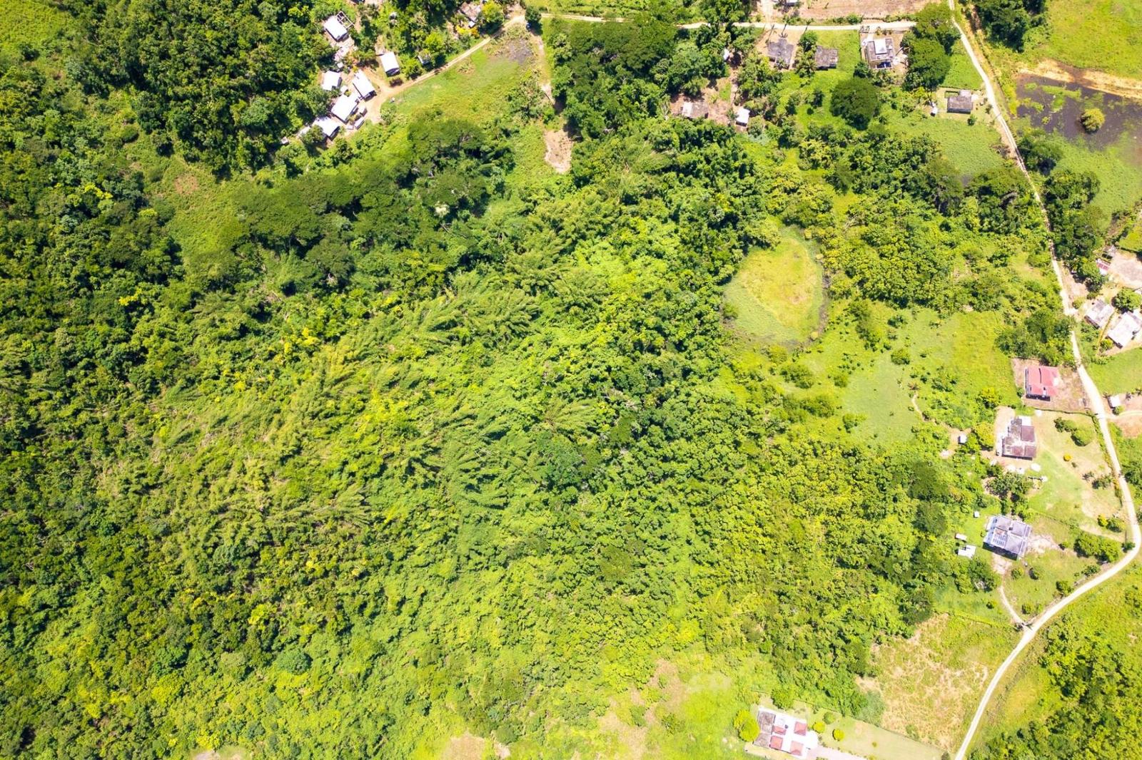 6.7 Acres of Residential Development Land for Sale in Rothsey Cove, Green Island, Hanover, Jamaica — photo 1
