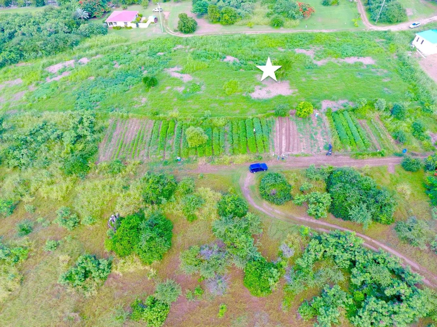 0.93 Acre Homesite with Sea View in Southgate Farm, St. Croix — photo 5