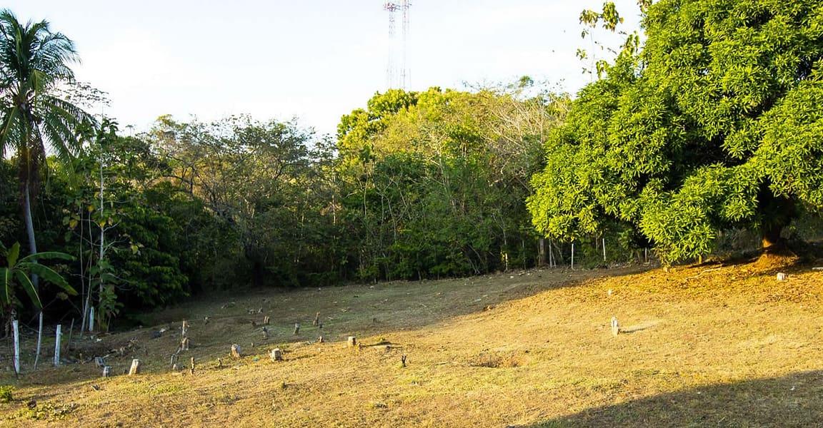 0.28 Acre Lot for Sale, Pedasi, Panama — photo 5